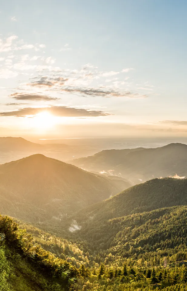 Sonnenaufgang über bewaldeten Alpen – Inspiration & Weitblick für Kommunikation in Starnberg/München